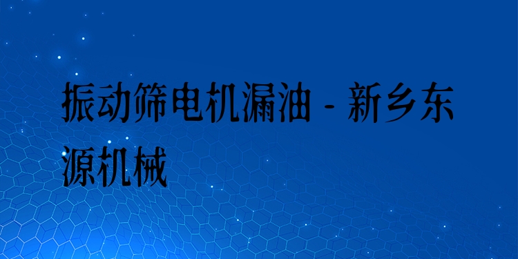 振動篩電機漏油 - 新鄉(xiāng)東源機械