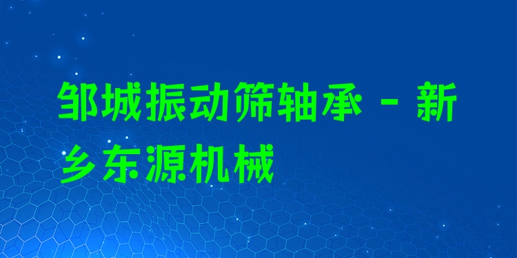 鄒城振動篩軸承 - 新鄉(xiāng)東源機(jī)械